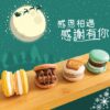 韓國曲奇馬卡龍 感恩節特別限定款 COCORON MACARON