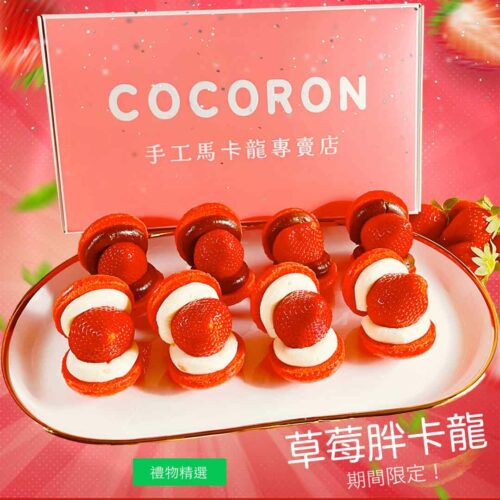 草莓馬卡龍 韓國手工馬卡龍 cocoron strawberry macaron