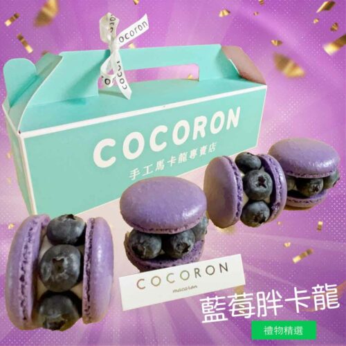 Blueberry macaron 韓國藍莓胖卡龍4入禮盒 季節限量